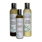 Organic Hair Growth Trio